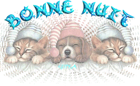 bonne nuit chien et chat